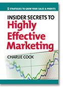 eManual - The 5 Principles  of Highly Effective Marketing.