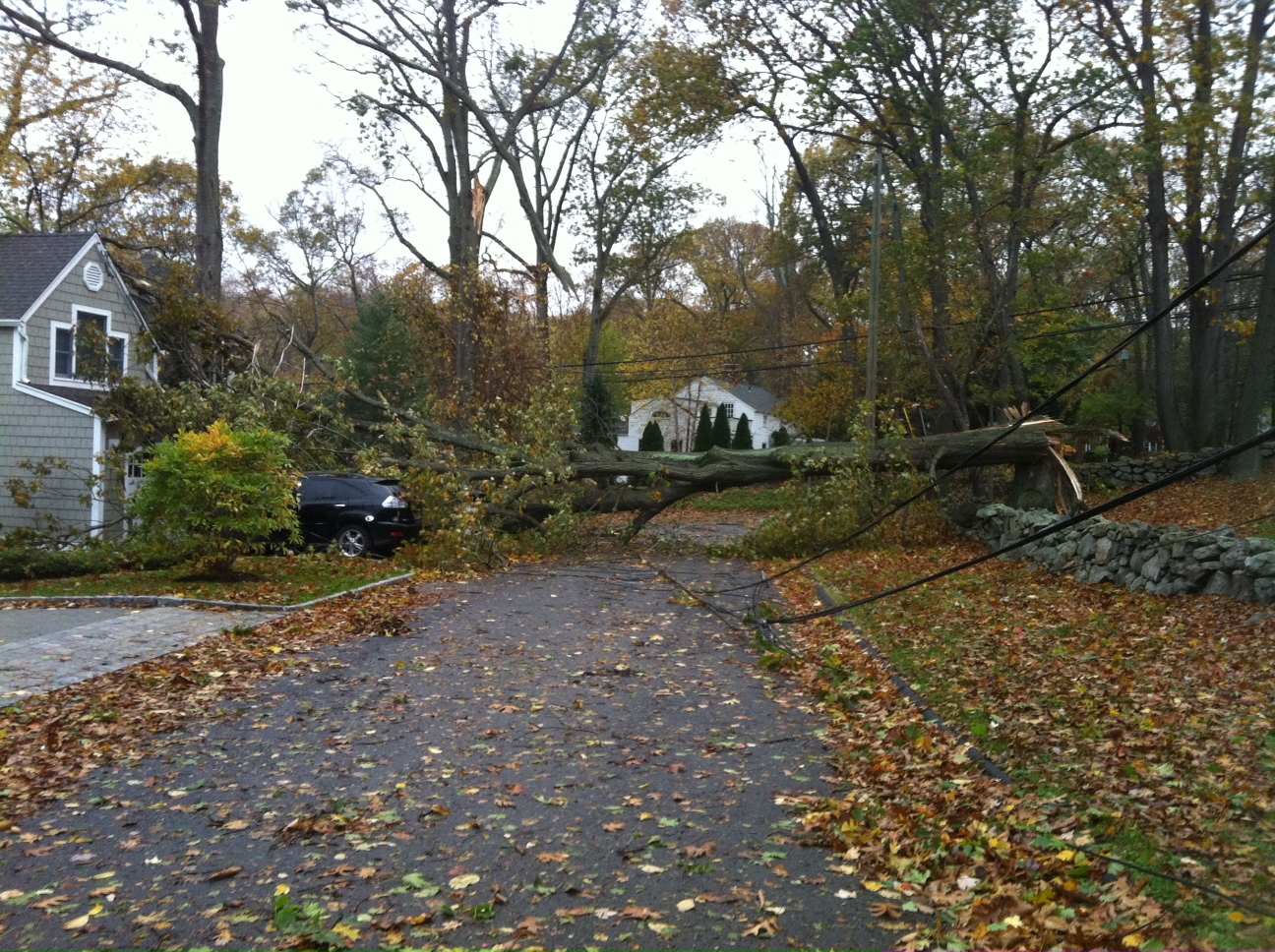 Hurricane Sandy Pics